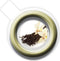 FreshTech Scent Refill 2 Pack - Vanilla Bean