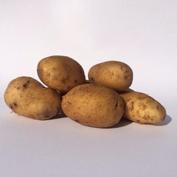 Frieslander Pootaardappel