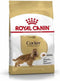 Royal Canin Cocker Adult - Hondenvoer - 12 kg
