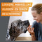 Frontpro Hond L 10-25 kg 3 tabletten