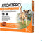 Frontpro Hond M 4-10 kg 3 tabletten