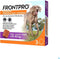 Frontpro Hond XL 25-50 kg 3 tabletten