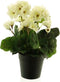 Frosted Ivy Chicago hanger 46 cm kunsthangplant