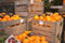 Fruitkist 4 lat 2-delig