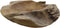 Fruitschaal medium - ø28-35x10 - Naturel - Teak