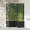 vidaXL - Tuinplanter - met - Trellis - 3 - stuks - Zwart - 80x80x143 - cm