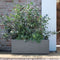 Muret Plantenbak - DEROMA - Millennium R - Asgrijs - Met waterreservoir - Wielen - 99 cm