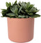 Elho B.for Soft Rond 14 - Bloempot voor Binnen - 100% gerecycled plastic - Ø 13.8 x H 12.5 cm - Delicaat roze