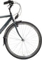AMIGO Bright - Herenfiets 28 inch - Fiets met 3 versnellingen - Antraciet