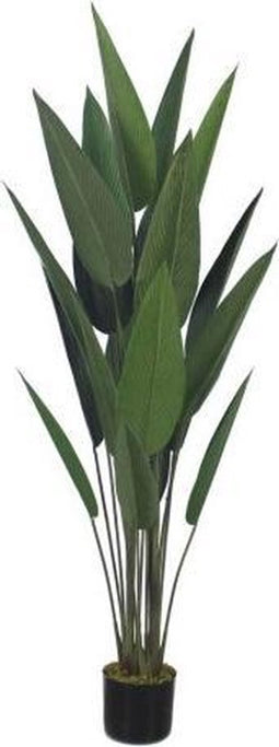 Decoratieve plant DKD Home Decor Groen PE Paradijsvogel (50 x 50 x 160 cm)