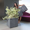 DEROMA Cube Bloempot - Millennium R - Asgrijs - Met waterreservoir - Wielen van 49 cm