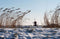 Customize it - Tuinschilderij molen sneeuw 130x70