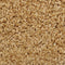 vidaXL - Trapmatten - 15 - st - 65x21x4 - cm - crèmekleurig