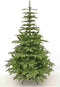 Triumph Tree Kunstkerstboom Aurora - 119x119x185 cm - PVC - Groen