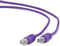 FTP Category 6 Rigid Network Cable GEMBIRD PP6