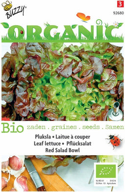 5 stuks - Buzzy - Organic Pluksla Red Salad Bowl (Skal 14725)
