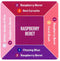 Fudge - Paintbox Colours - Raspberry Beret - 75 ml