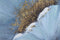 Schilderij Home ESPRIT Romantiek 80 x 3 x 120 cm (2 Stuks)