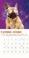 Funniest Dogs Kalender 2025
