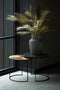 WOOOD Palm Kunstplant - Goud - 75x110x75