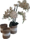 Furnilux Collection plantenbakken - Mandenset - 3 stuks - Naturel en wit