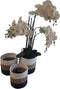 Furnilux Collection plantenbakken - Mandenset (3 stuks) - Wit en naturel en zwart