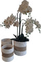 Furnilux Collection plantenbakken - mandenset - 3 stuks - wit en naturel