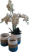 Furnilux Collection plantenbakken - mandenset - 3 stuks - wit en naturel en blauw