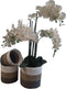 Furnilux Collection plantenbakken - Mandenset - 3 stuks - Wit en Naturel en Grijs