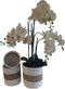 Furnilux Collection plantenbakken - mandenset - 3 stuks - wit en naturel