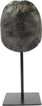 Furnilux - Katana small Bruin - Schildpad