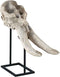 Furnilux - Terra Wit Beige antiek poly schedel beeld