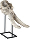 Furnilux - Terra Wit Beige antiek poly schedel beeld