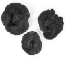 Furnilux Wanddecoratie - Rifa Black - 3-delig - Afgietsels van koralen
