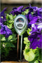 Furniture Limited - pH- en vochtigheidsmeter 6x3,8x26 cm