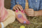 Furreal Friends Cinnamon My Pony-stijl Teddybeer Roze