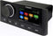 Fusion Apollo MS-RA670 marine radio