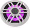 Fusion-marine-luidspreker-XS-FL65SPGW