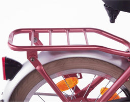 Alpina achterdrager 18 Cargo berry red matt