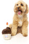 Fuzzyard - Birthday Cupcake - Hondenknuffel - Wit - Bruin