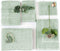 LINNICK Pure Handdoeken Set - 100% Katoen - Soft Green - 4x Handdoek 60x110cm + 2x Badlaken 70x140cm + 4 Washandjes + 2 Gastendoekjes - Badgoedset