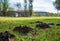 Hortensus - Solar mollenverjager - 800 m² - 4 stuks