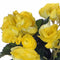 Mica Decorations Begonia - Kunstplant - Gele bloemen - 37 cm