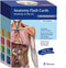 Anatomy Flash Cards - Anatomie Kaarten - Meer dan 450 illustraties