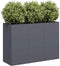 vidaXL - Plantenbak - 120x40x80 - cm - koudgewalst - staal - antracietkleurig