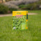 AZstyle Graszaad Met Microklaver - Graszaden - 1 KG - voor 50 m2