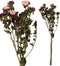 PTMD Gedroogde Bloem Tuinbloemenstruik - 35 x 15 x 65 cm - Paars