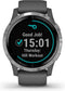 Garmin Vivoactive 4 - Smartwatch - GPS Hartslagmeter Pulse Ox - Zilver (Grijs)
