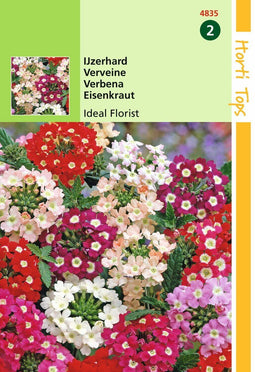 2 stuks - Hortitops - HT Verbena, Ijzerhard Ideal Florist gemengd