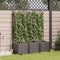 vidaXL - Tuinplanters - met - Watergeefsysteem - 3 - st - Bruin